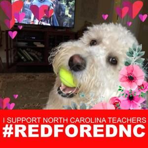 Meet your Posher, Mary lee